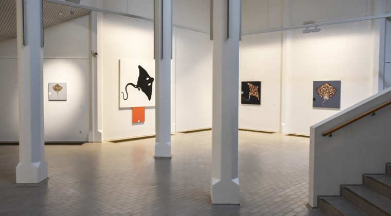 Osmo Rauhan näyttely Järjestyksen kuvat Kouvolan taidemuseo Poikilossa 12.1.2020 asti. Taidemuseon seinällä taidetoksia, jotka kuvaavat rauskuja.