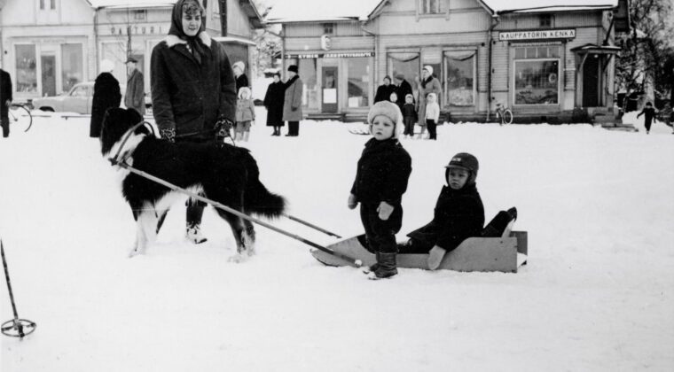 Etualalla lapsi istumassa koiran vetämässä puureessä. Vieressä seisoo toinen lapsi ja koiran edessä lasten äiti. Takana puisten Enbäckien talojen edustalla aikuisia ja lapsia.