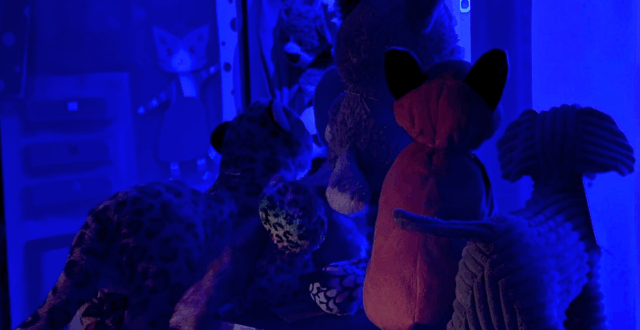 Sinisen hämyssä pehmoleluja rivissä.