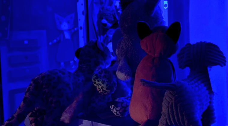 Sinisen hämyssä pehmoleluja rivissä.